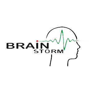 Поставщик BRAINSTORM